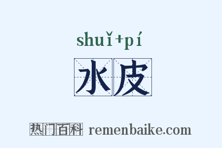 水皮是什么意思的图片